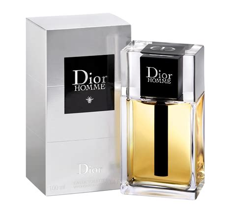 cristian dior homme